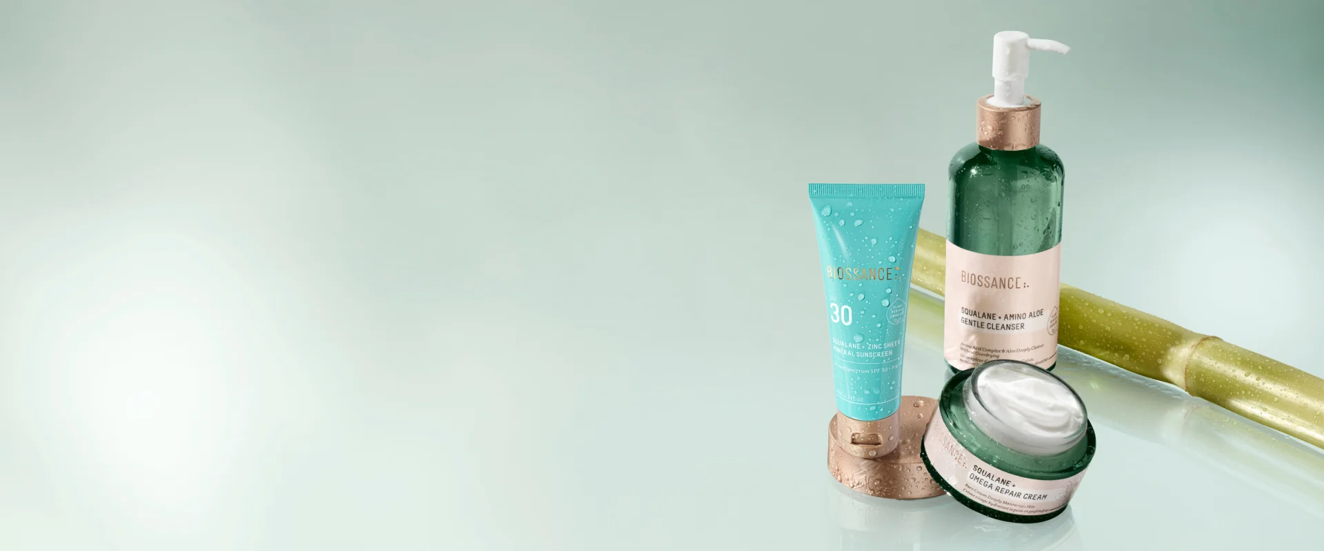 3-PC Daytime Core Routine with SPF, Amino Aloe Gentle Cleanser and Omega Repair Cream