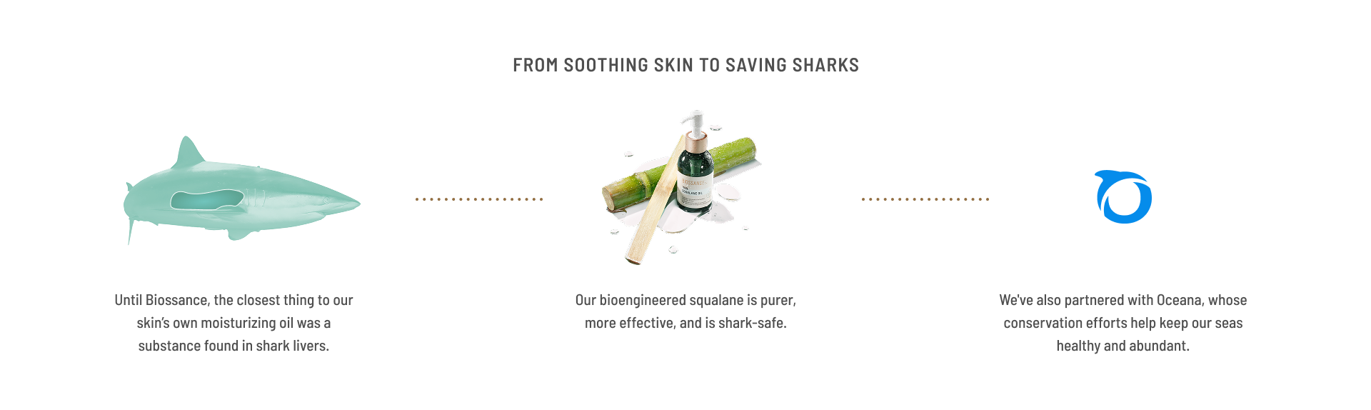Timeline with Icons of Shark, Sugarcane and Oceana logo