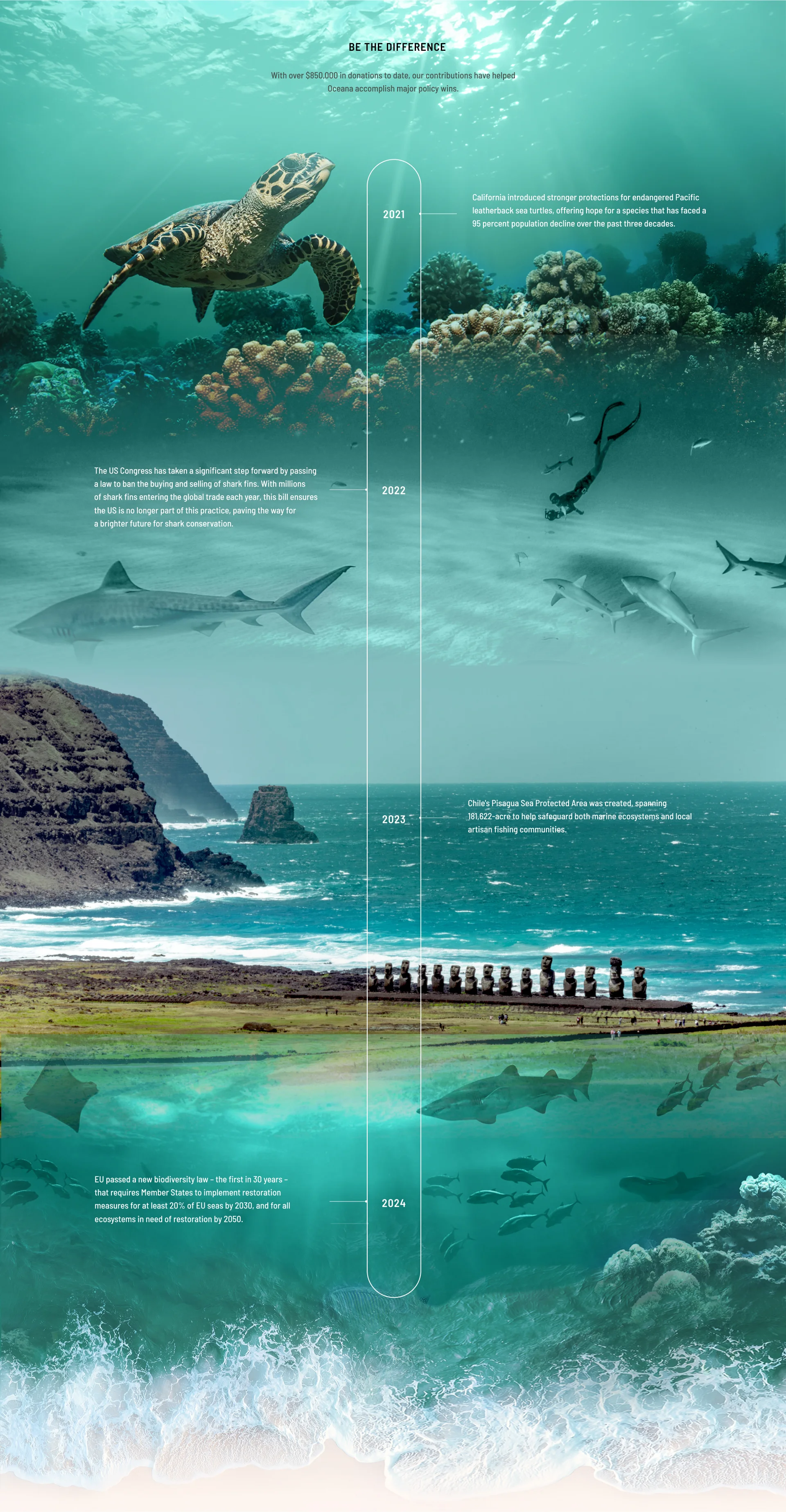 Timeline of Oceana Milestone Achievements over beautiful ocean image
