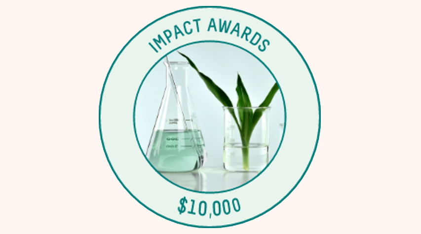 The Impact Award